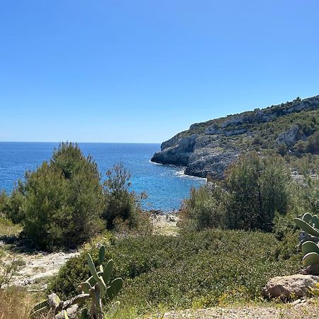 Cottage Vittoria - Marina Di Novaglie Гальяно-дель-Капо Экстерьер фото